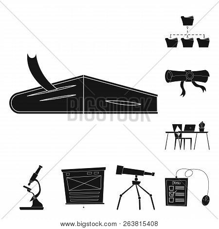 Vector Illustration Of Education And Learning Sign. Set Of Education And School Stock Vector Illustr