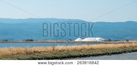 Harvesting Salt In The Plains Of Eressos On Lesvos Island In Greece