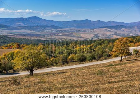 Autumn Landscape Of Cherna Gora (monte Negro) Mountain, Pernik Region, Bulgaria
