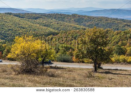 Autumn Landscape Of Cherna Gora (monte Negro) Mountain, Pernik Region, Bulgaria