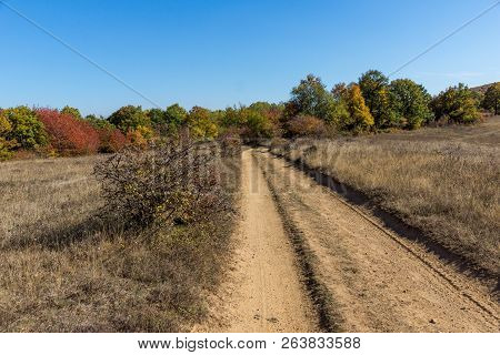 Autumn Landscape Of Cherna Gora (monte Negro) Mountain, Pernik Region, Bulgaria