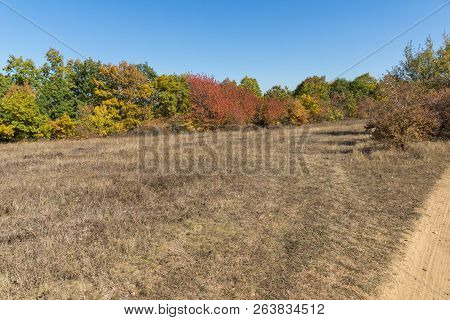 Autumn Landscape Of Cherna Gora (monte Negro) Mountain, Pernik Region, Bulgaria