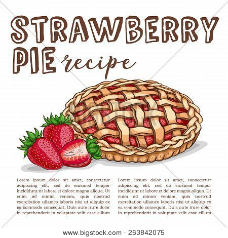 Vector Color Sketch Strawberry Pie Reciep, Lime Art, Hand Drawn Illustration