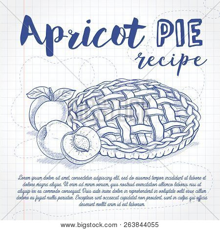 Vector Sketch Apricot Pie Reciep, Lime Art, Hand Drawn Illustration On A Notebook Page