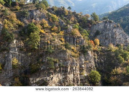 Amazing Autumn Landscape With  Forest Around Krichim Reservoir, Rhodopes Mountain, Bulgaria