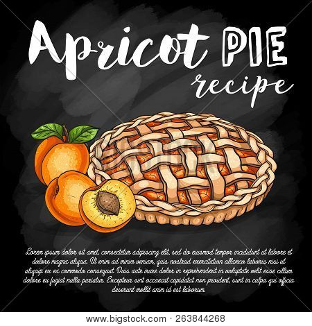 Vector Color Sketch Apricot Pie Reciep, Lime Art, Hand Drawn Illustration On A Chalkboard