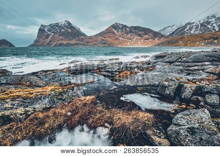 Rocky coast of fjord of Norwegian sea in winter. Lofoten islands, Norway