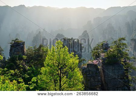 Famous tourist attraction of China - Zhangjiajie stone pillars cliff mountains on sunset at Wulingyuan, Hunan, China