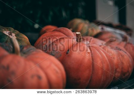 Pumpkin Sale In A Small Town In Germany