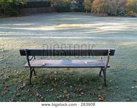 Frosty Morning