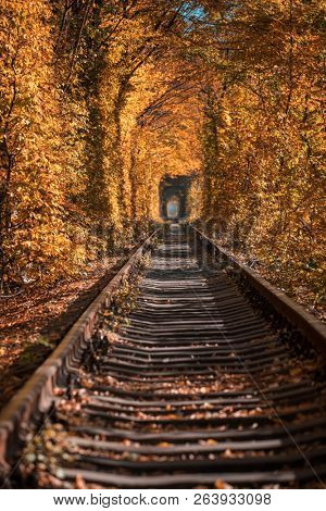 love tunnel in autumn