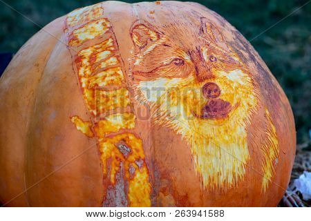Chadds Ford, Pa - October 18: Wolf Carving At The Great Pumpkin Carve Carving Contest On October 18,