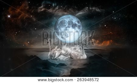 Couple Of White Swans Dancing In The Landscape Of Night Sea With Fool Moon And Galaxy Stars Backgrou