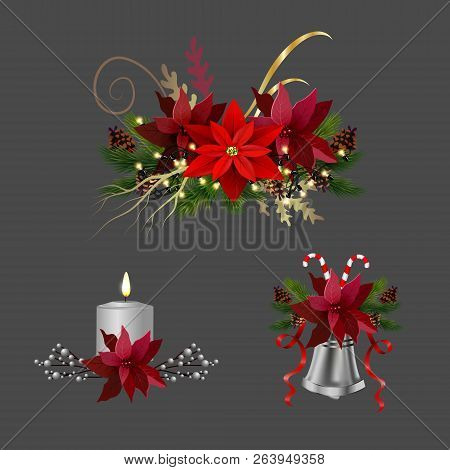 Christmas Decoration Set With Evergreen Treess Pine Cones And Poinsettia Isolated Vector
