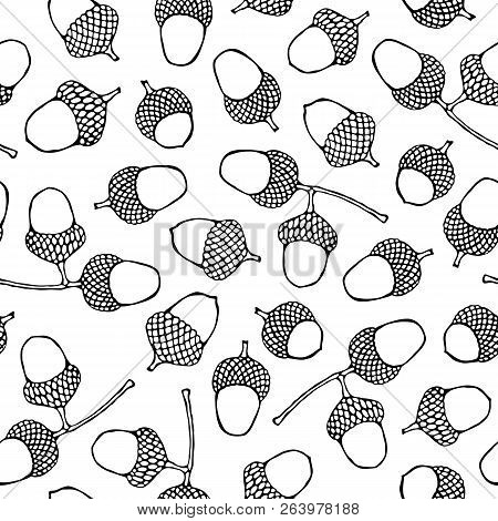 Seamless Endless Pattern Of Green Brown Acorns. Autumn Or Fall Vegetable Harvest Collection. Realist