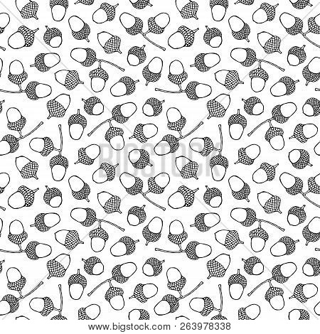 Seamless Endless Pattern Of Green Brown Acorns. Autumn Or Fall Vegetable Harvest Collection. Realist