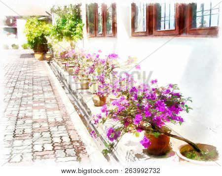 A Painting Of A Yard With A Row Of Beautiful Purpule Flower Pots.