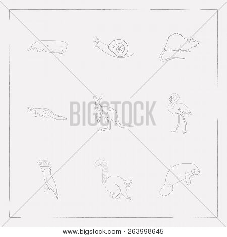 Set Of Zoo Icons Line Style Symbols With Snail, Sea Cow, Flamingo And Other Icons For Your Web Mobil
