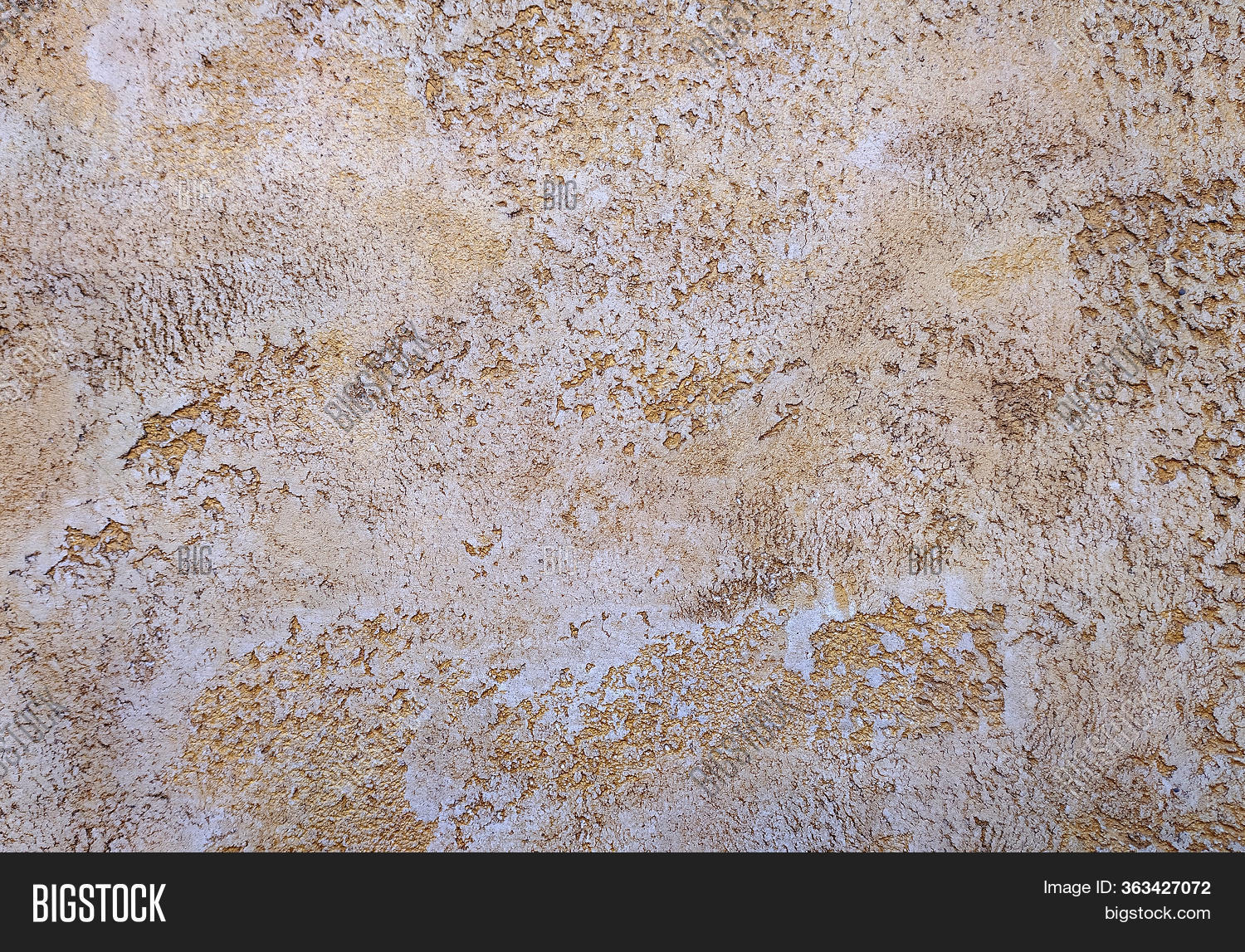 Natural Stone Shell Image & Photo (Free Trial) | Bigstock