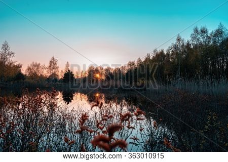 Foggy Sunrise On A Small Pond With Water Reflectons