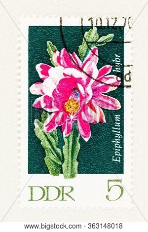 Seattle Washington - April 25, 2020: 1970 East Germany Postage Stamp Featuring Hybrid Sheet Cactus I