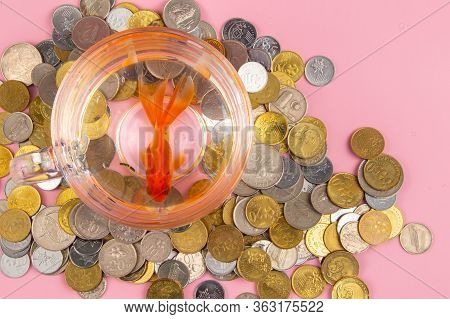 Coin, Red Alarm Clock And Gold Fish Inside A Bowl . Time Is Money Concept, Business Concept.