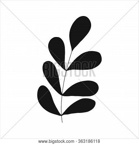 Black tropical leaf silute on an isolated white background. Botanical tree branches, palm leaf on the stem. Spring summer leaf. Concept design logo icon for the application. Vector illustration.
