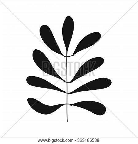 Black tropical leaf silute on an isolated white background. Botanical tree branches, palm leaf on the stem. Spring summer leaf. Concept design logo icon for the application. Vector illustration.