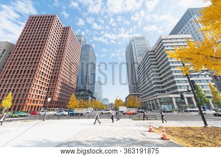 Buildings In Tokyo With Autumn Leaves