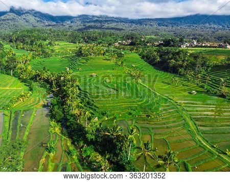 The Object Of The Unesco World Heritage Rice Terraces Jatiluwih. Tourist Destination-bali. Aerial Vi