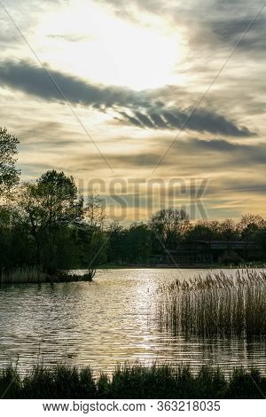 Tranquil Rural Landscape At Sunset With A Lake And Reets Growing In The Water