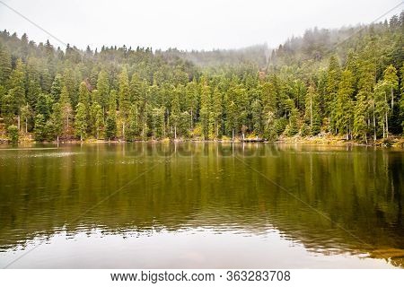 Mummelsee Lake And Trail In Black Forest