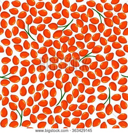 Illustration On Theme Big Colored Seamless Rose Hip, Bright Berry Pattern For Seal. Berry Pattern Co