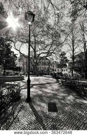 Lisbon, Portugal- March 4, 2020: Beautiful Fialho De Almeida Garden Also Known As A Netter Park On A