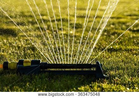 Lawn Sprinkler Spraying Water Over Green Grass. Modern Device Of Irrigation Garden Grass. Irrigation