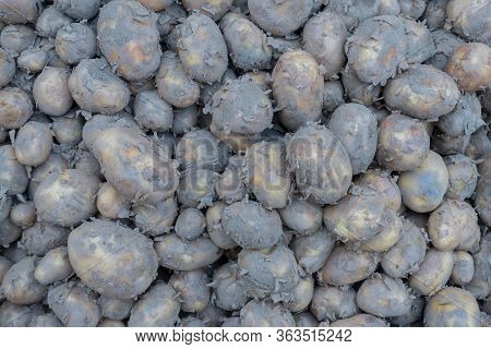 Potato Is A Root Vegetable, A Starchy Tuber Of The Plant Solanum Tuberosum. Vegetables For Sale In A