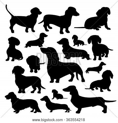 Silhouette Of A Dachshund. Black Silhouette Of A Dog, Set Of Illustrations On A White 
Background.