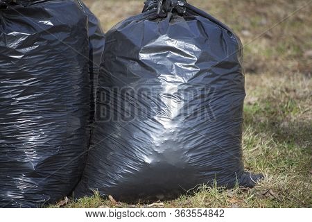 Garbage Bags Stand On The Grass. The Black Plastic Bags Are Full. Harvesting Leaves In The Fall. Uti