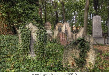 옛 유대인 묘지