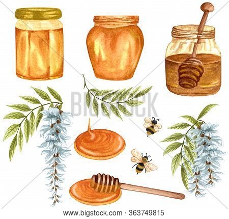 Watercolor Illustration Of Acacia Honey On White Background. Hand Drawn Set White  Acacia/wisteria F