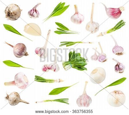 Set Of Various Edible Garlic Vegetables Isolated On White Background