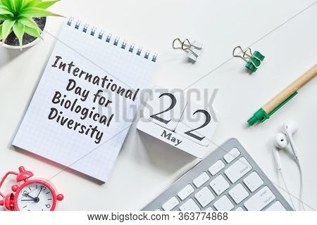 22 Twenty Second International Day For Biological Diversity May Month Calendar Concept On Wooden Blo