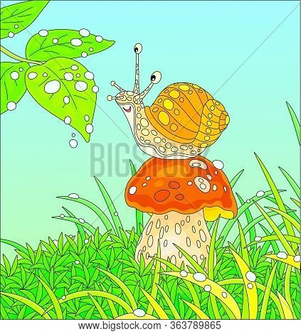 Funny Garden Snail With A Beautiful Spotted Shell, Sitting On A Big Mushroom Among Green Grass On A 