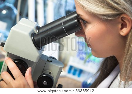 Pesquisador de beleza olhando através do microscópio no laboratório