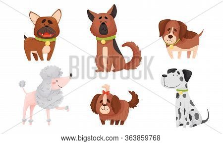 Funny Dogs In Sitting And Standing Poses Vector Set