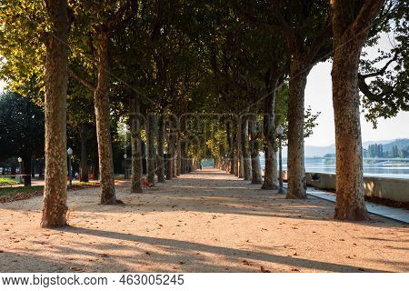 Coimbra, Portugal - September 21, 2022: Dr. Manuel Braga City Park In Autumn With Tunnel-like Avenue