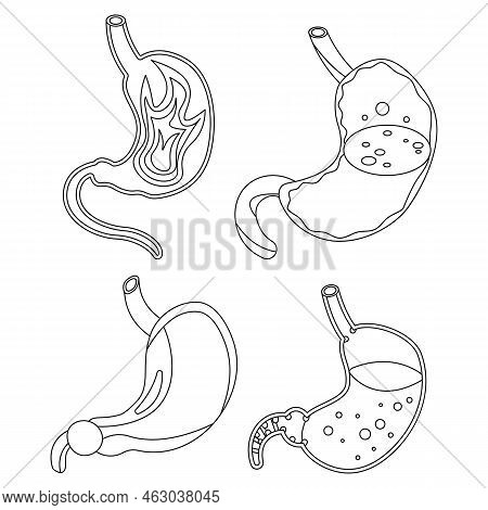 Stomach Icons Set. Isometric Set Of Stomach Vector Icons Outline Isolated On White Background