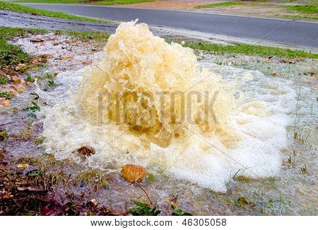 ท่อระบายน้ำเก่ามีชีวิตชีวา