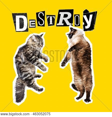 Contemporary Art Collage, Design In Magazine Style With Cats Isolated Over Color Background. Animals
