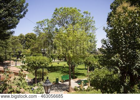 The Vegetation Of Ain Asserdoun Which Is A Freshwater Spring And Fountain Of The City Of Beni Mellal
